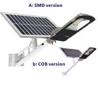 Solar LED Street light MSS03 Series